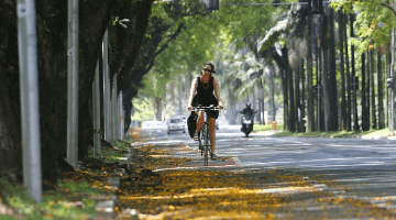 28 universidades brasileiras estão entre as mais sustentáveis do mundo; USP lidera no país