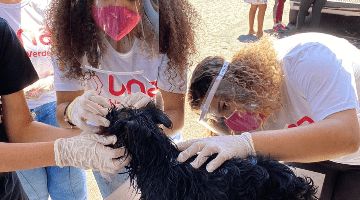 Alunos de Medicina Veterinária da Una Linha Verde oferecem cuidados a animais de famílias que vivem nas ruas