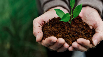 Profissões na área das Ciências Biológicas que talvez você não conheça