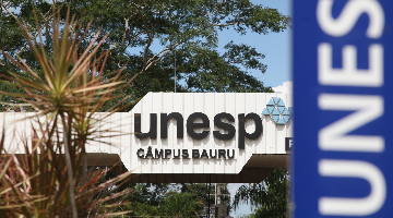 Unesp 2024: veja quais são os cursos mais disputados do vestibular