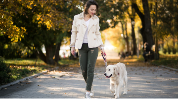 Novas profissões são incluídas na Classificação Brasileira de Ocupações; confira