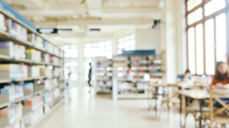 Censo da Educação Superior 2024 aponta crescimento do bacharelado e avanço do EaD