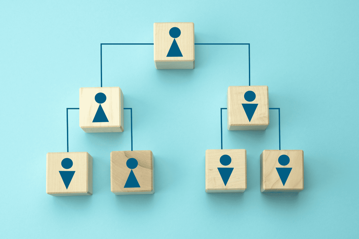 Como funciona a estrutura organizacional de uma empresa