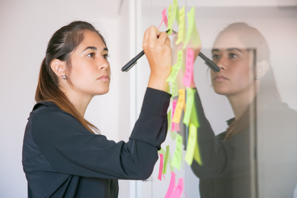 project model canvas