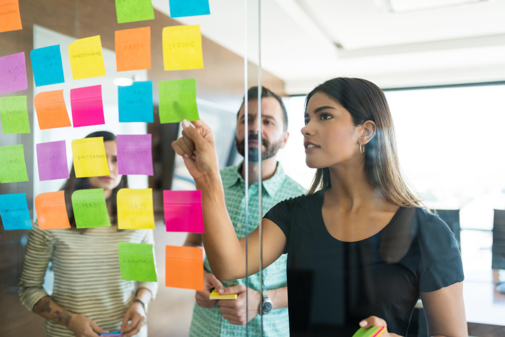 project model canvas