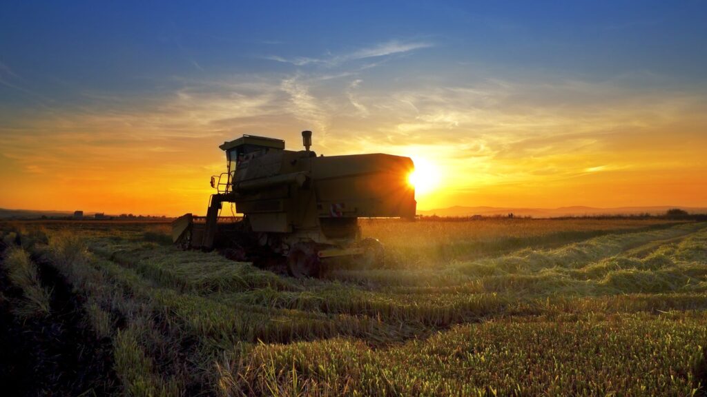 Máquina agrícola (colheitadeira) trabalhando em campo aberto durante o pôr do sol, com a paisagem rural ao fundo.