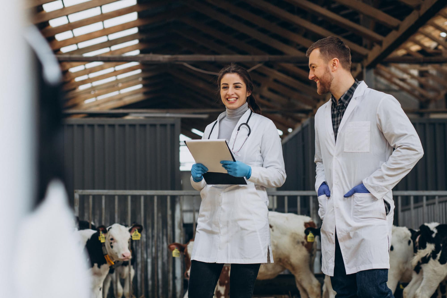 Por que o Dia do Médico-Veterinário é em 9 de setembro? Entenda!