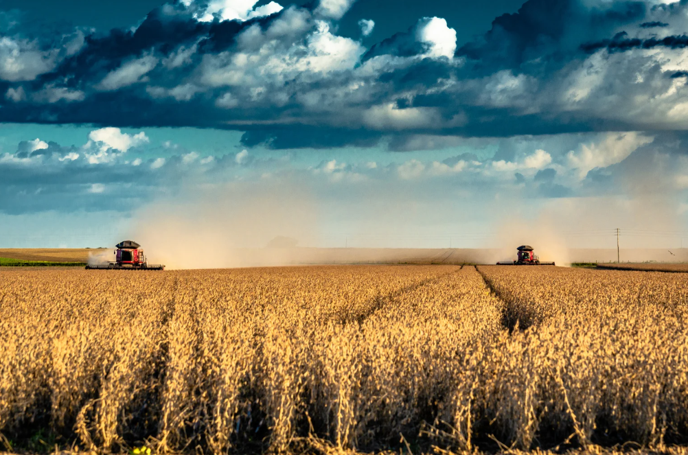 Agronegócio em expansão no Brasil