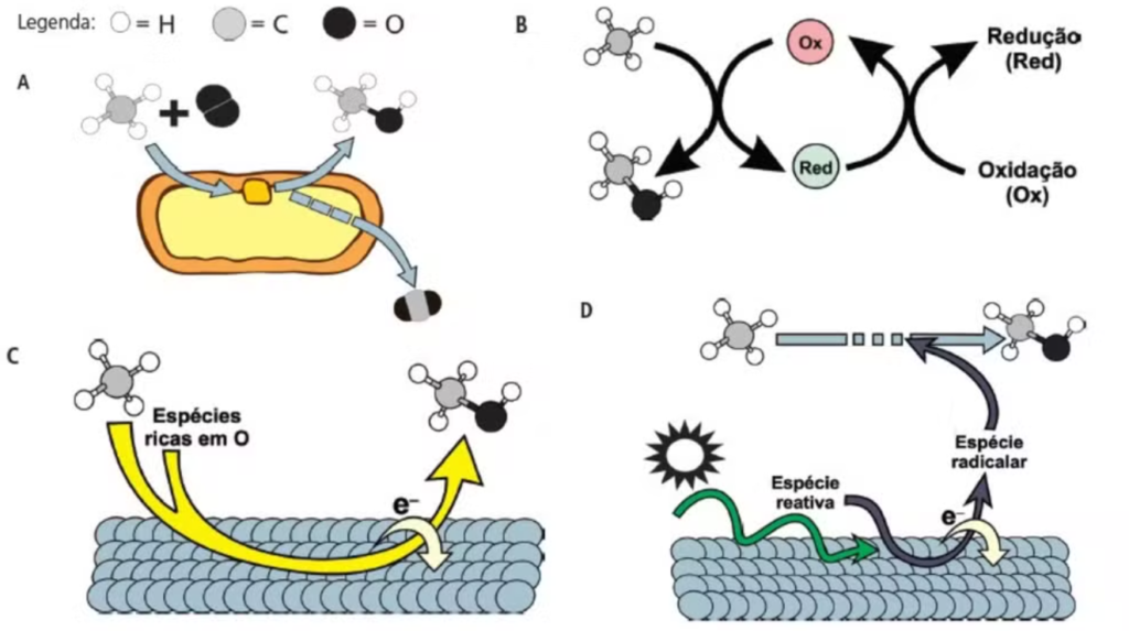 questão sobre metanol na unicamp