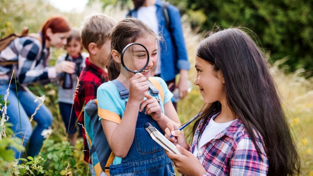 passeio escolar