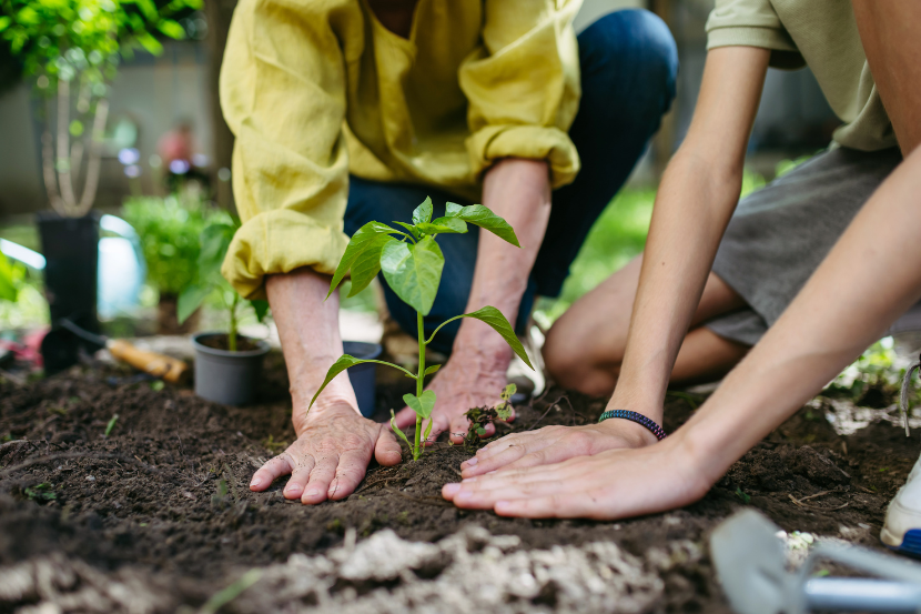 Programa Educação para a Cidadania e Sustentabilidade: o que muda para os estudantes?