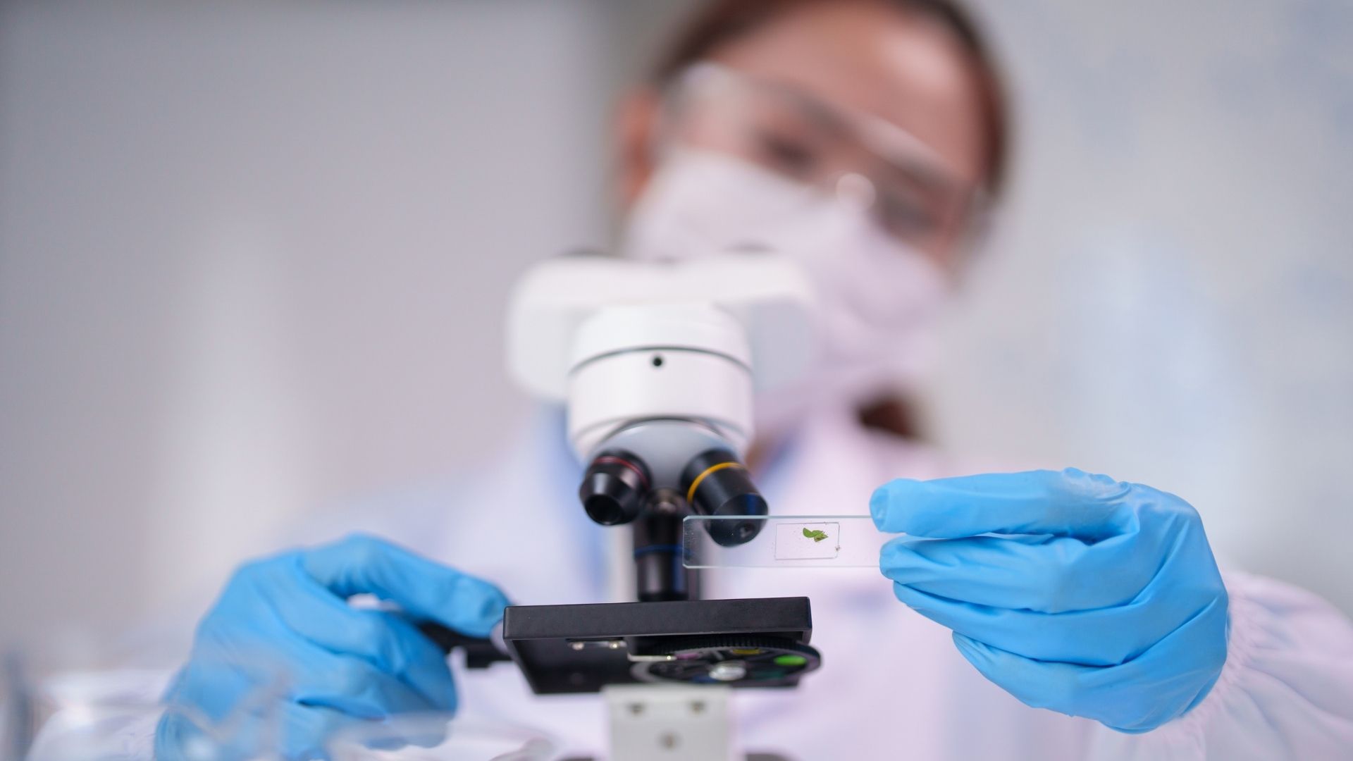 20 melhores faculdades de Ciências Biológicas EaD