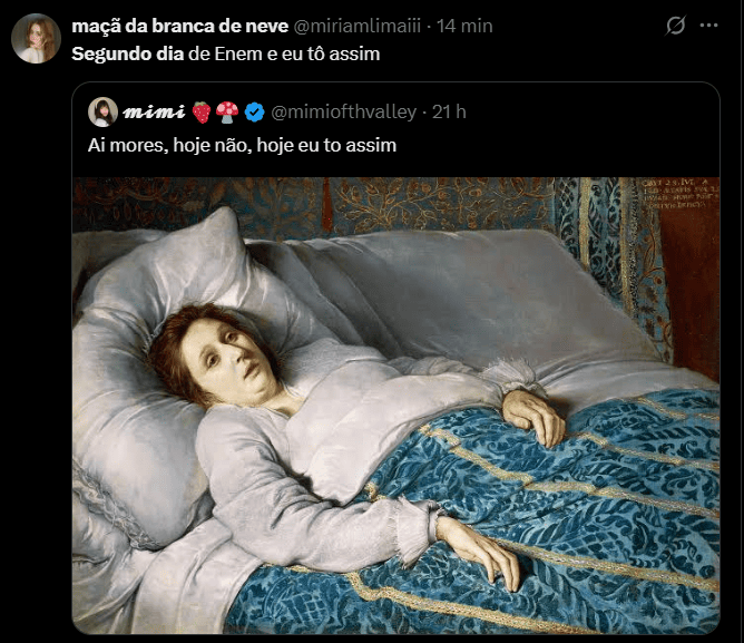 Memes do segundo dia do Enem 2025 (3)