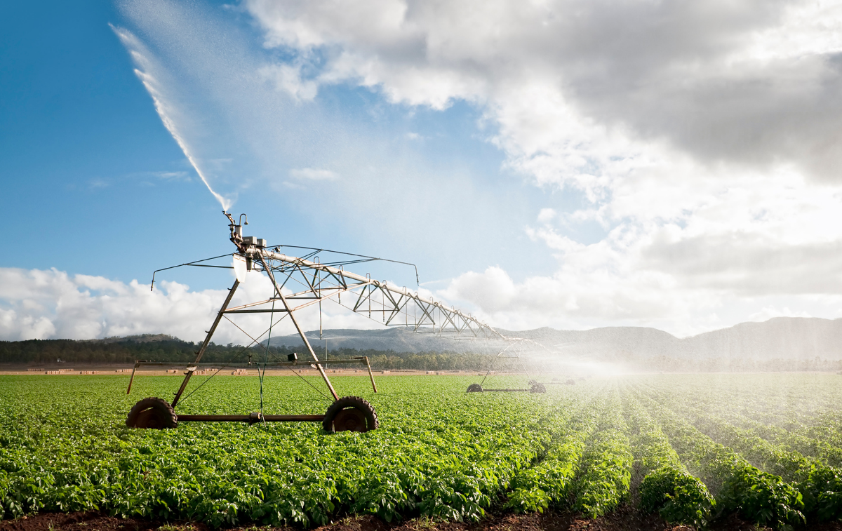 Agrishow 2026: carreiras em tecnologia no agro ganham espaço no setor