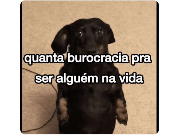 Memes do resultado do Encceja 2025: veja os melhores
