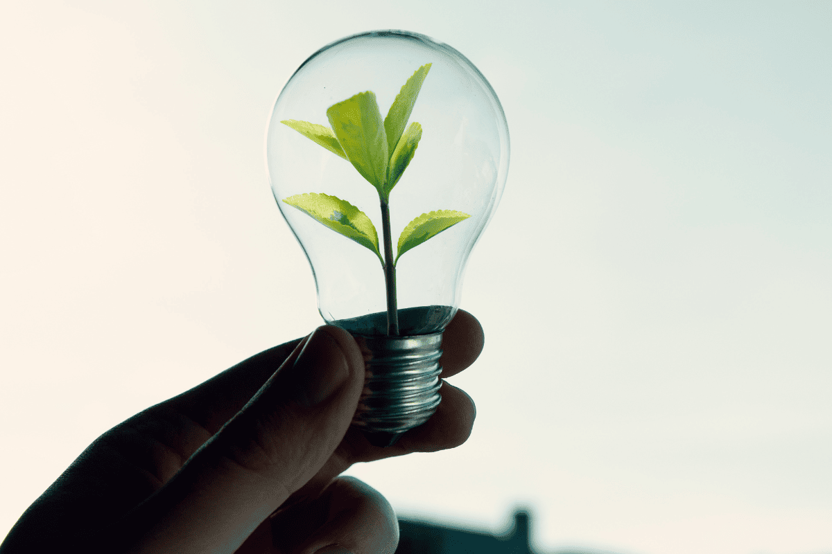 O que é sustentabilidade financeira e como aplicá-la nos negócios