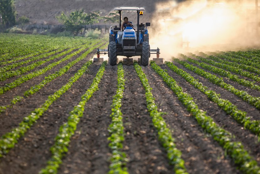 Técnico em Agropecuária: salário e fatores que influenciam na remuneração