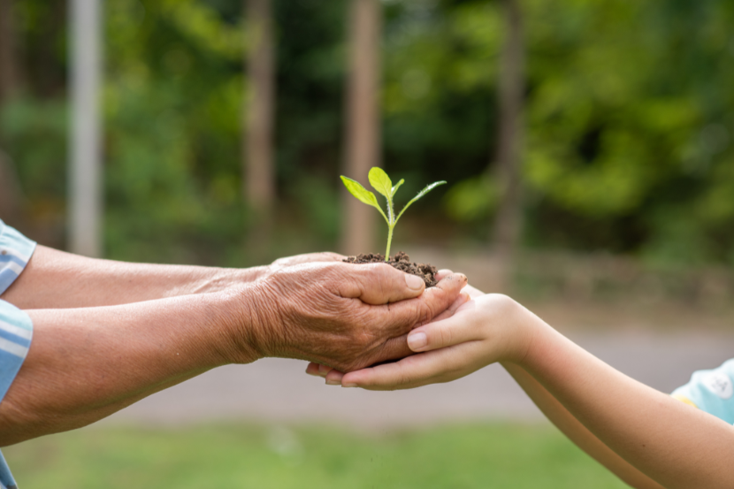 Dia Mundial da Educação Ambiental: 10 atividades para fazer em casa e na escola