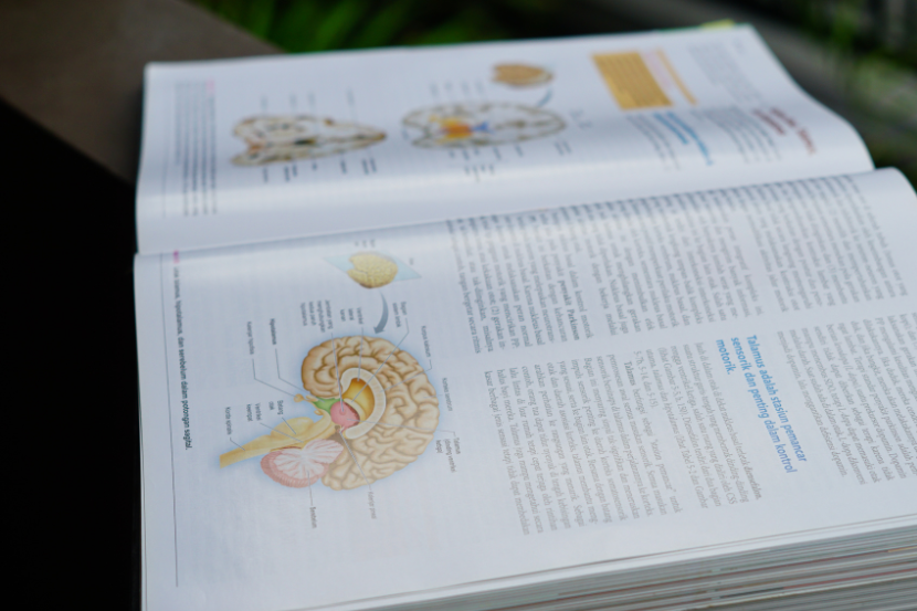 representação de um livro didático aberto