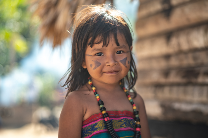 Como ensinar às crianças sobre os povos indígenas com 7 filmes e desenhos