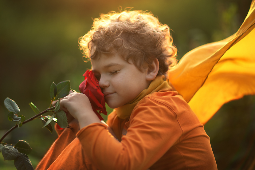 representação do clássico o pequeno príncipe