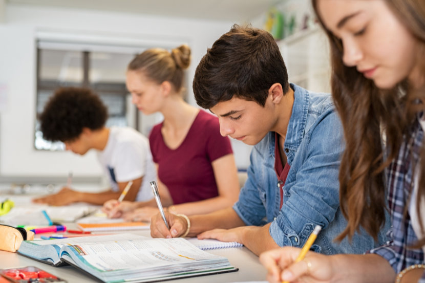 alunos do ensino médio estudando em IFs ou escola particular
