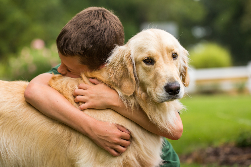 menino abraçando o cachorro no dia do abraço