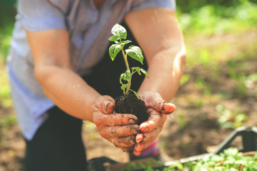 Semana do Meio Ambiente: 10 hábitos sustentáveis para ensinar às crianças