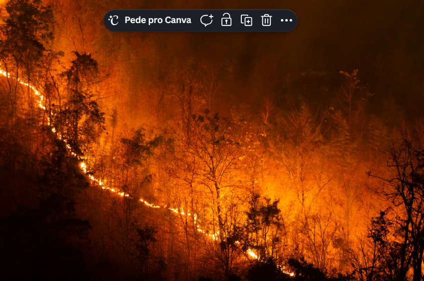 Espanha suspende evacuações após avanço no combate aos incêndios florestais