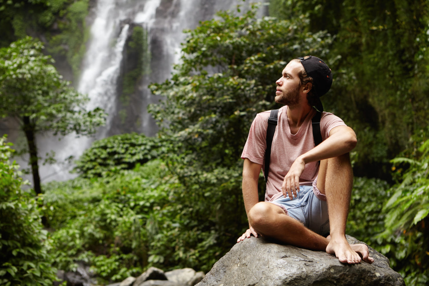10 faculdades para quem ama natureza, animais e meio ambiente