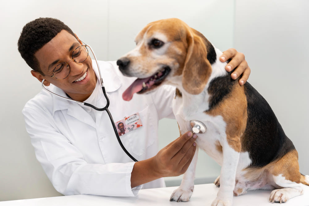 ciências biológicas ou medicina veterinária