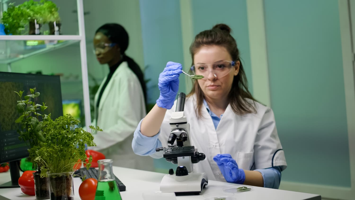 Ecologia e Ciências Biológicas: diferenças, carreira e oportunidades