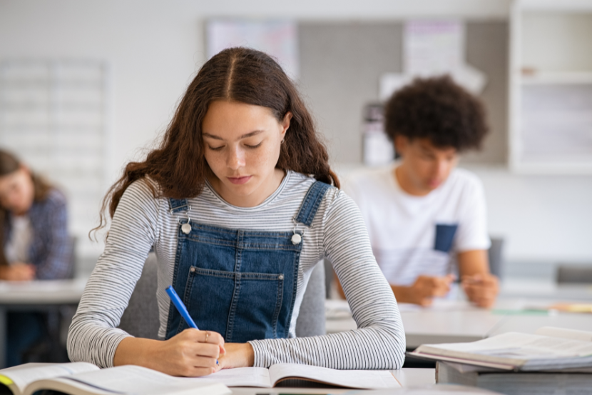 Dia Nacional da Educação Básica: origem, importância e 4 pilares para a formação dos estudantes