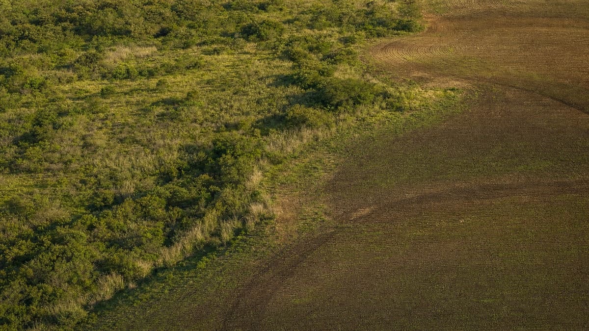 Vegetação diversificada e parcelas agrícolas contrastam os focos de Ciências Biológicas e Agronomia