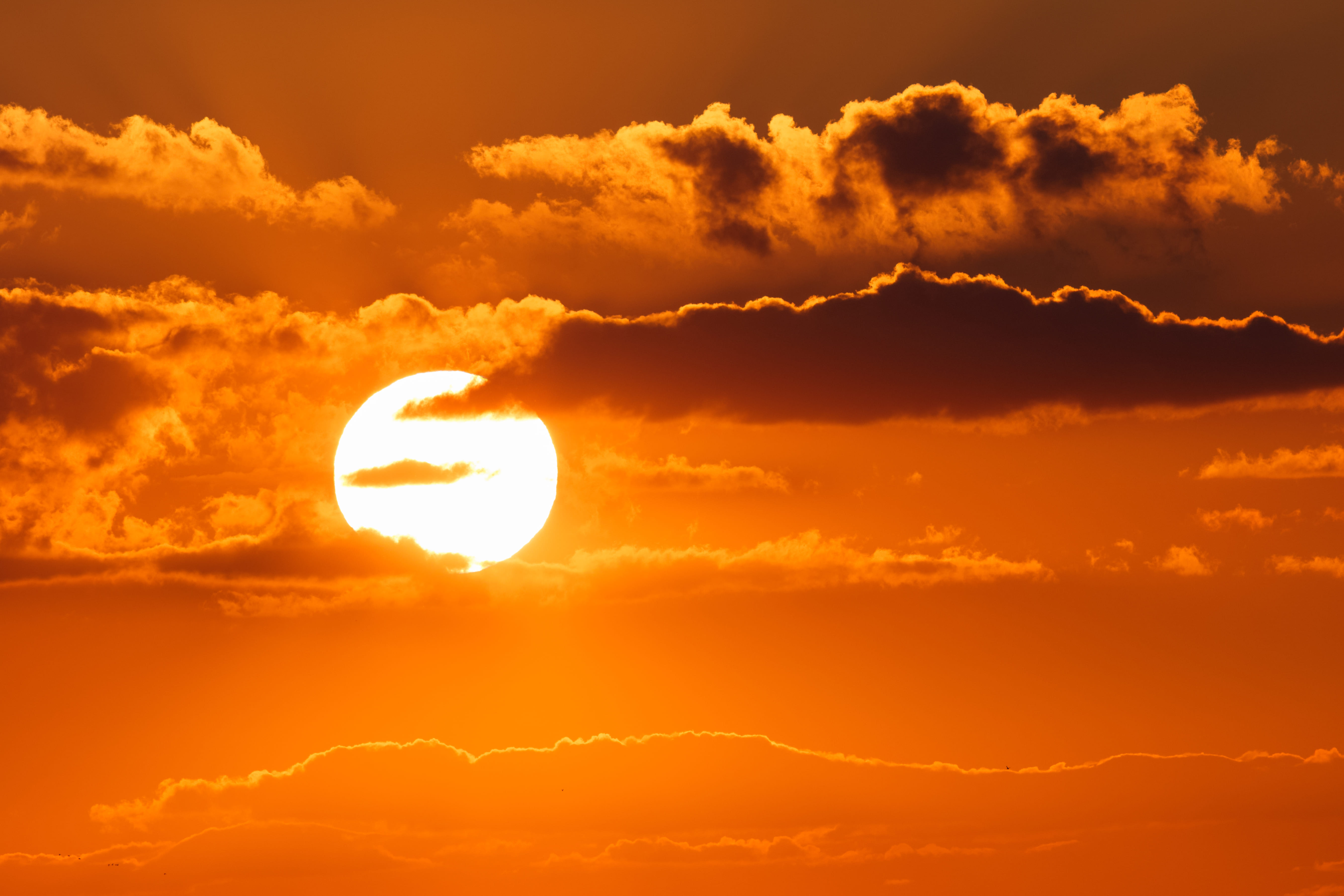 Calor extremo transforma o verão na Europa