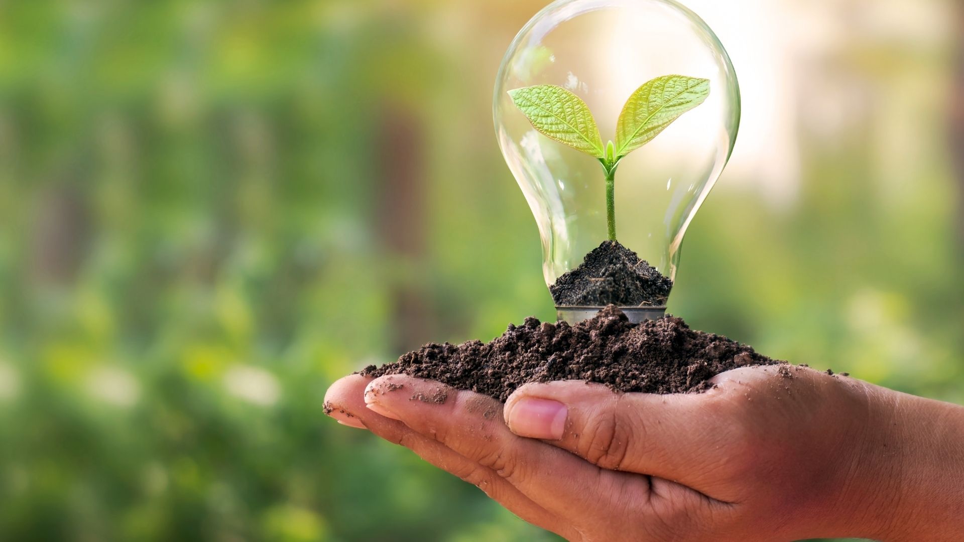 Ciências Biológicas ou Engenharia Ambiental: qual escolher?