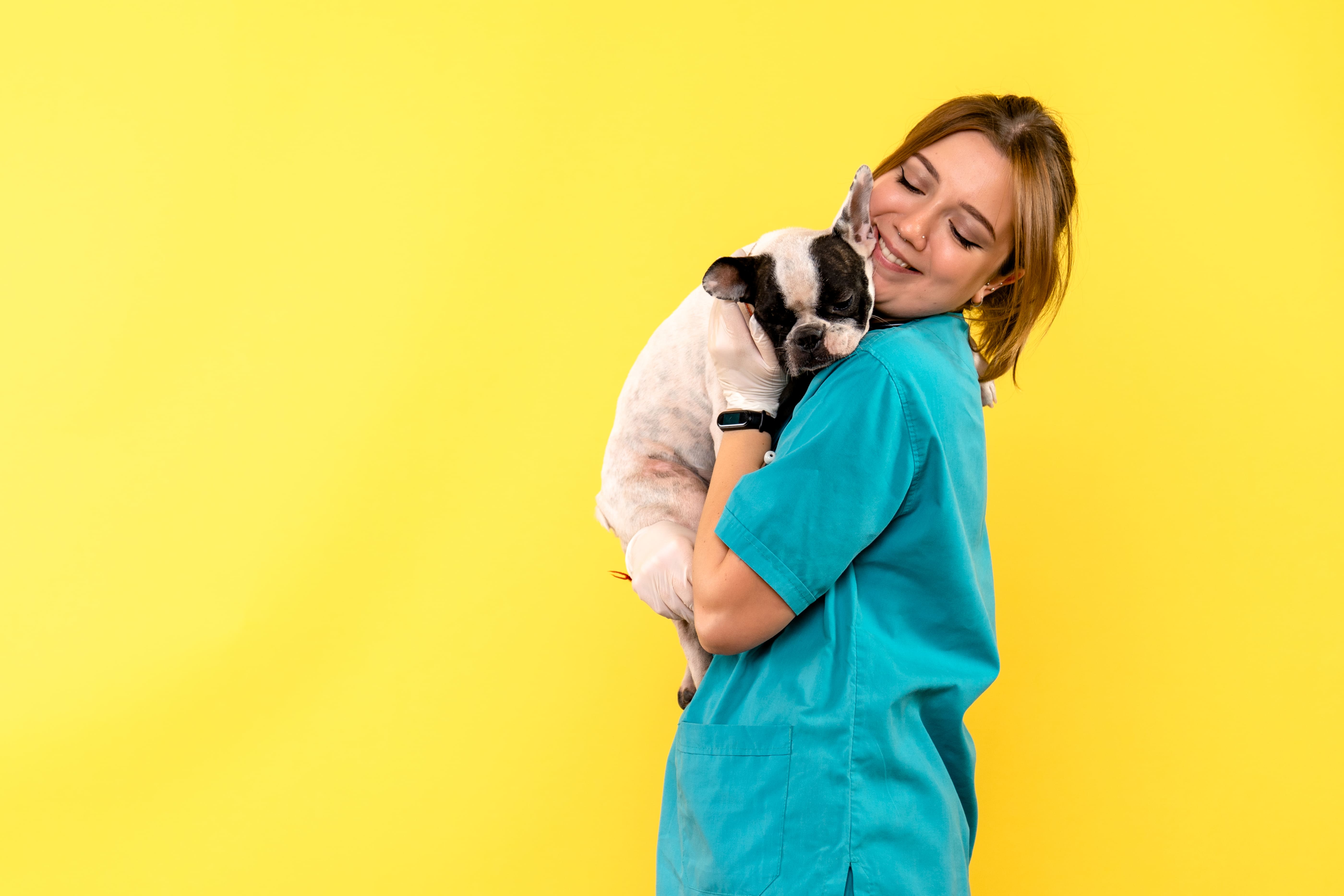 Dia do Médico Veterinário: 8 pós-graduações para seguir depois de Veterinária